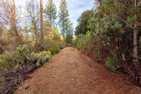 14141 Shake Ridge Rd, Sutter Creek, CA 95685 photo 4