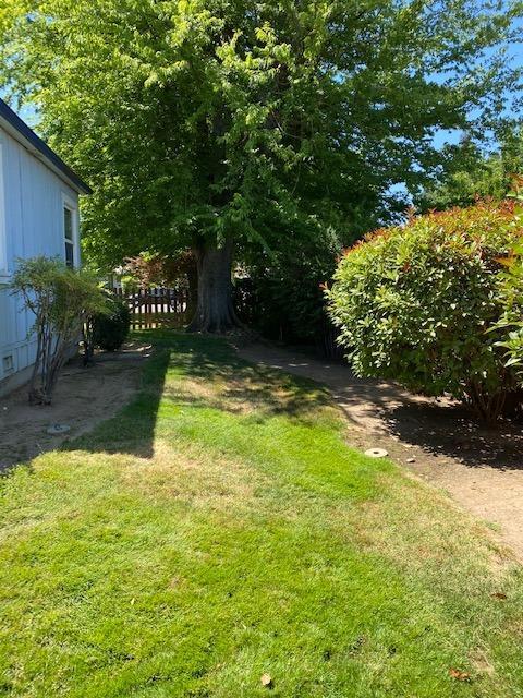 711 Palm Ave, Lodi, CA 95240 photo 30