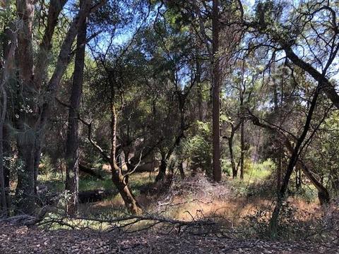 3000 Dyer Way, Placerville, CA 95667 photo 1