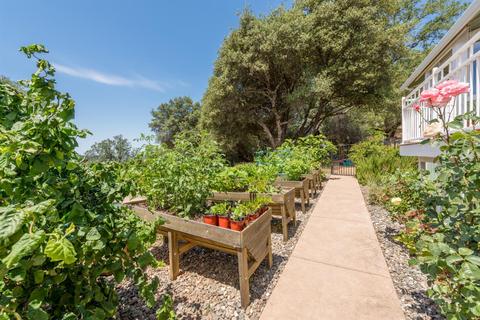3423 Excalibar Rd, Placerville, CA 95667 photo 29