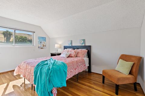 2065 Shiloh Ave, Milpitas, CA 95035 photo 38