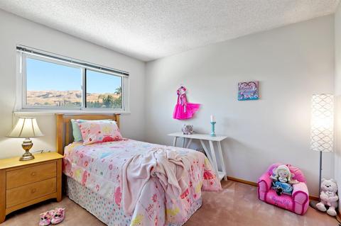2065 Shiloh Ave, Milpitas, CA 95035 photo 41