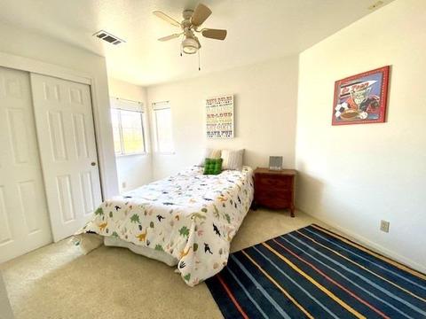 291 Van Dyken Way, Ripon, CA 95366 photo 22