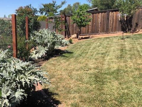 169 Judy Dr, Placerville, CA 95667 photo 43