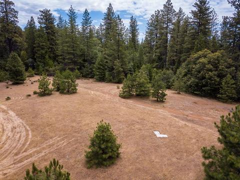18791 Wildcat Way, Volcano, CA 95689 photo 44