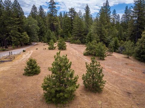 18791 Wildcat Way, Volcano, CA 95689 photo 45
