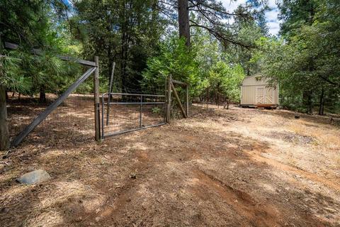 18791 Wildcat Way, Volcano, CA 95689 photo 12