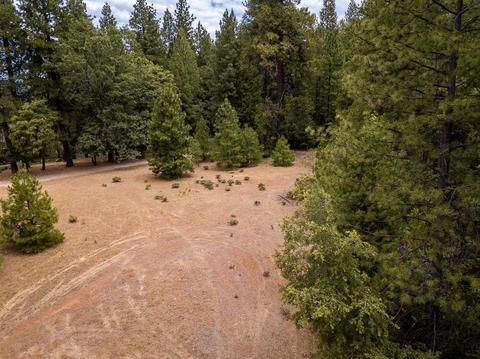 18791 Wildcat Way, Volcano, CA 95689 photo 47
