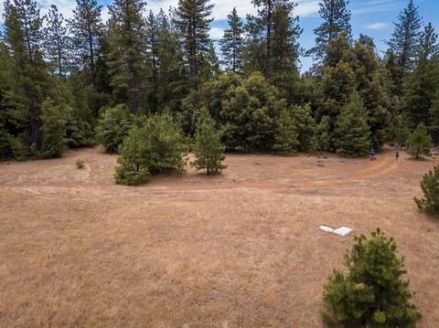 18791 Wildcat Way, Volcano, CA 95689 photo 48