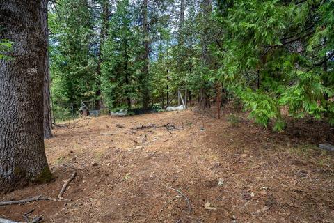 18791 Wildcat Way, Volcano, CA 95689 photo 11