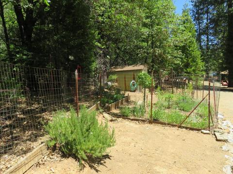 1792 Lily Gap Rd, West Point, CA 95255 photo 29