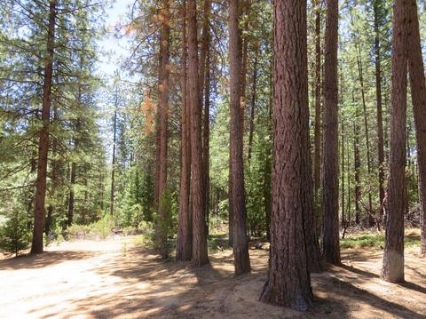 1792 Lily Gap Rd, West Point, CA 95255 photo 52