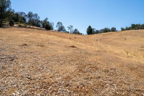 4453 Circle A Ranch Rd, Placerville, CA 95667 photo 50