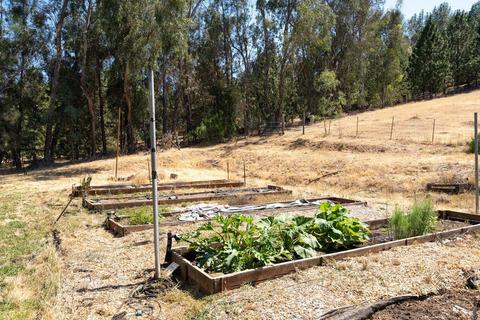 4453 Circle A Ranch Rd, Placerville, CA 95667 photo 49