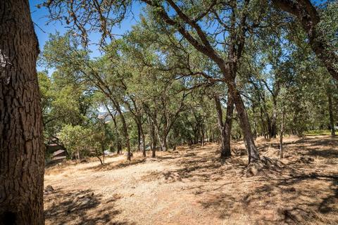 410 Oak Pl, San Andreas, CA 95249 photo 25