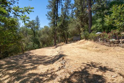 3461 Lode Rd, Placerville, CA 95667 photo 29