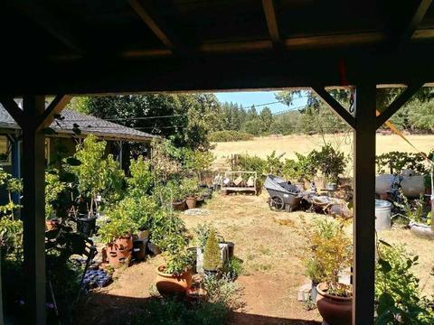 492 Williams St, Murphys, CA 95247 photo 35