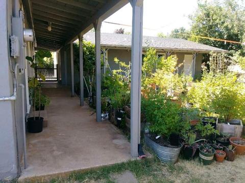 492 Williams St, Murphys, CA 95247 photo 36