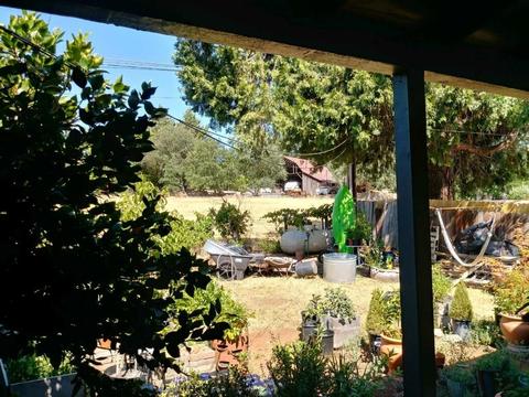 492 Williams St, Murphys, CA 95247 photo 34