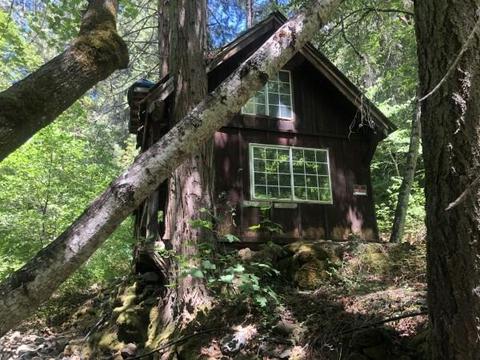 14465 Owl Rd, Pine Grove, CA 95665 photo 38