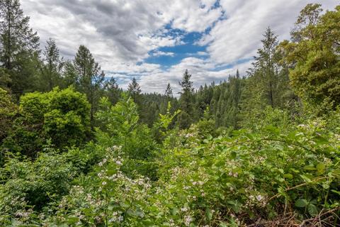 14465 Owl Rd, Pine Grove, CA 95665 photo 24