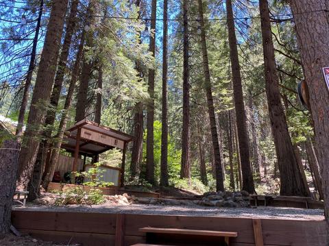 517 Arnold Byway, Arnold, CA 95223 photo 20
