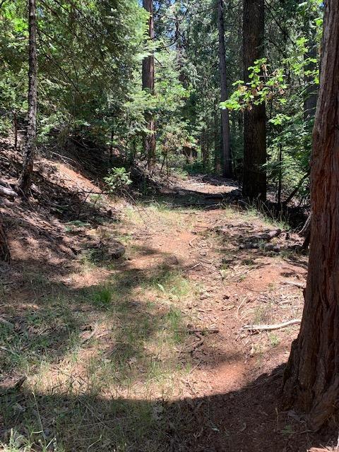 17059 E Brookside Dr, Sonora, CA 95370 photo 17
