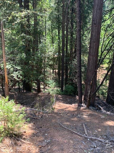 17059 E Brookside Dr, Sonora, CA 95370 photo 6