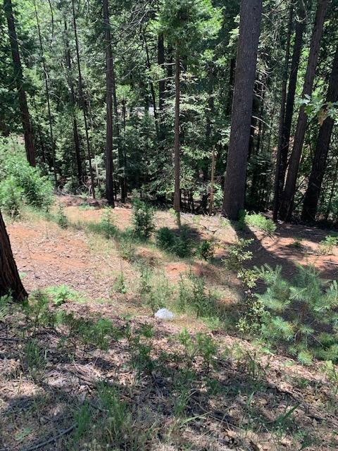 17059 E Brookside Dr, Sonora, CA 95370 photo 5