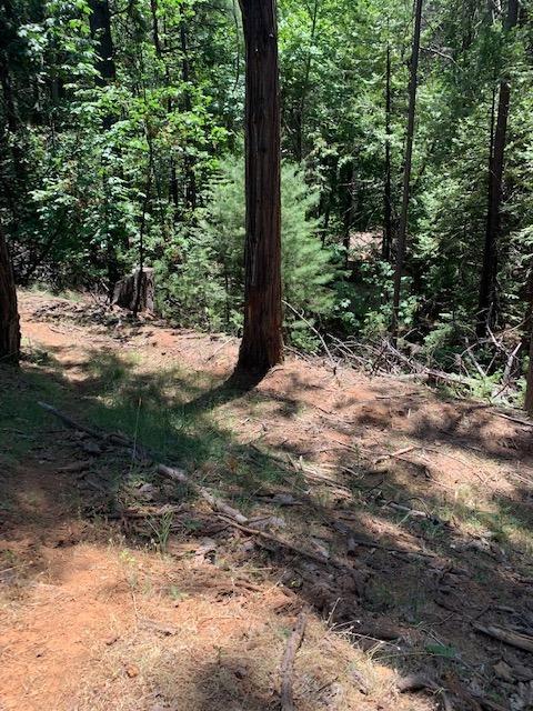 17059 E Brookside Dr, Sonora, CA 95370 photo 10