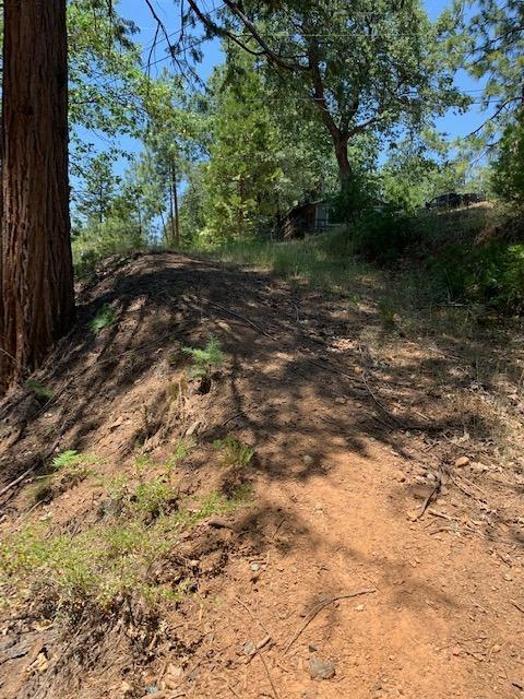 17059 E Brookside Dr, Sonora, CA 95370 photo 27