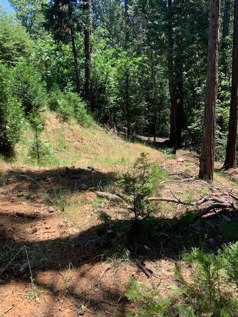 17059 E Brookside Dr, Sonora, CA 95370 photo 7