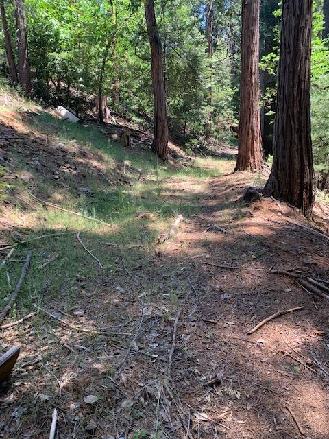 17059 E Brookside Dr, Sonora, CA 95370 photo 12