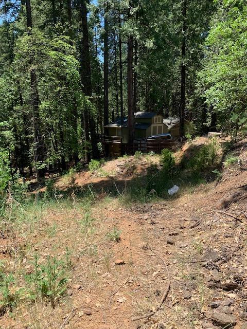 17059 E Brookside Dr, Sonora, CA 95370 photo 26