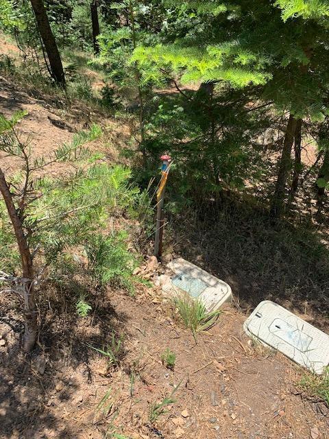 17059 E Brookside Dr, Sonora, CA 95370 photo 4