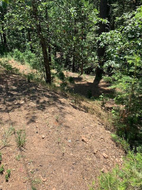 17059 E Brookside Dr, Sonora, CA 95370 photo 3