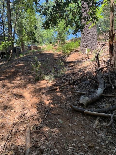 17059 E Brookside Dr, Sonora, CA 95370 photo 14