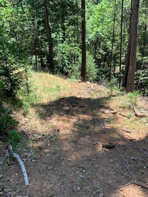 17059 E Brookside Dr, Sonora, CA 95370 photo 24