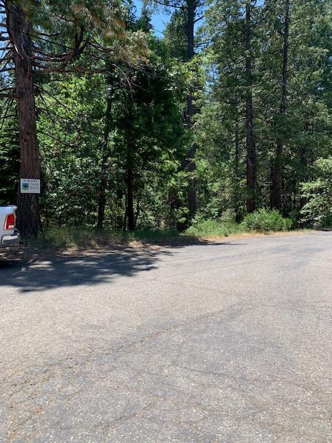 17059 E Brookside Dr, Sonora, CA 95370 photo 34