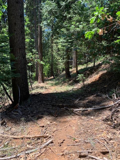 17059 E Brookside Dr, Sonora, CA 95370 photo 20