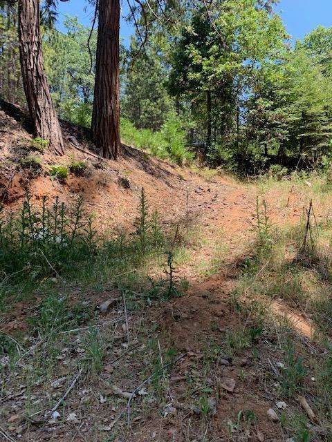 17059 E Brookside Dr, Sonora, CA 95370 photo 25