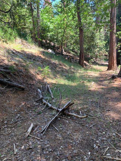 17059 E Brookside Dr, Sonora, CA 95370 photo 15