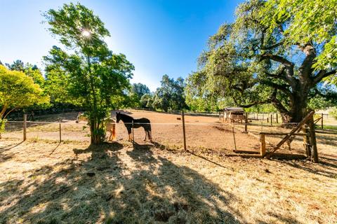 3318 Hamblen Ct, Cool, CA 95614 photo 5