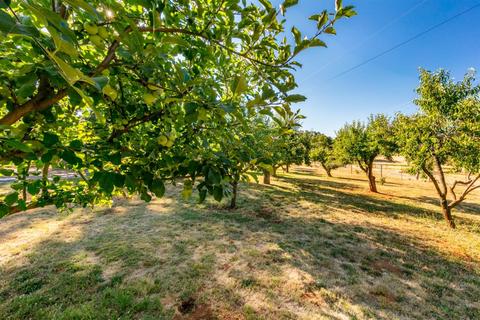 3318 Hamblen Ct, Cool, CA 95614 photo 74
