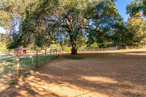 3318 Hamblen Ct, Cool, CA 95614 photo 14