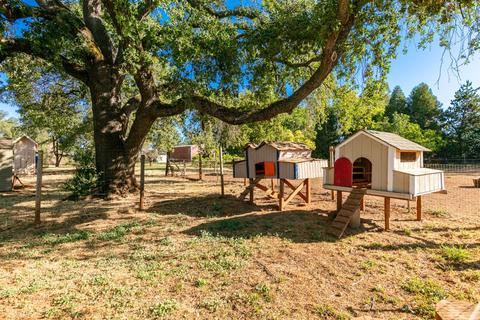 3318 Hamblen Ct, Cool, CA 95614 photo 17