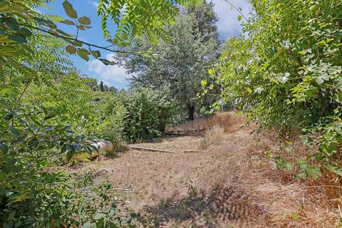 259 W Jackson St, Sonora, CA 95370 photo 7