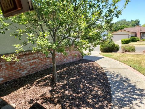 5304 Agate Way, Carmichael, CA 95608 photo 25