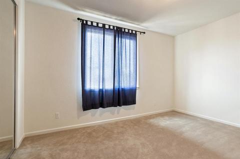 16057 Sheltered Cv, Lathrop, CA 95330 photo 15