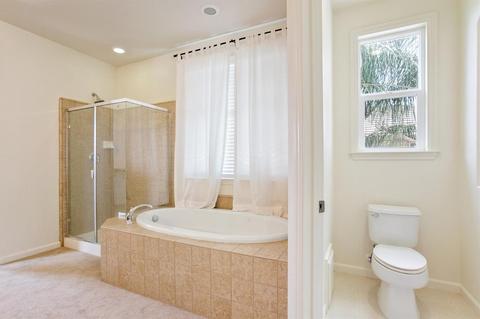 16057 Sheltered Cv, Lathrop, CA 95330 photo 25